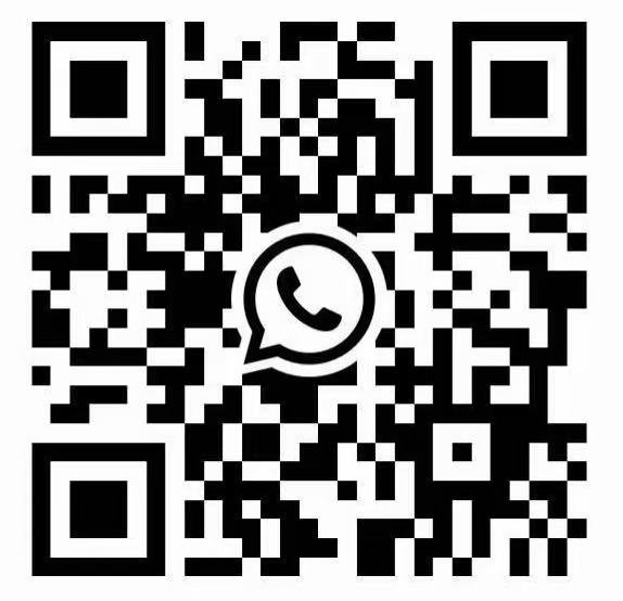WhatsApp 联系